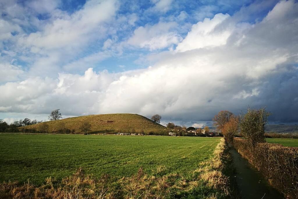 Hide On The Hill